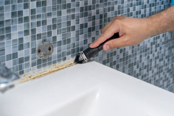 Best DIY Mold Remediation Support Services in Mayfair, CA